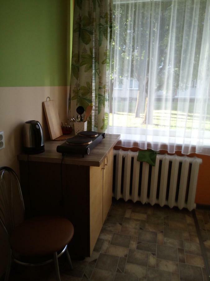 Anykstuko Butas Διαμέρισμα Anykščiai Εξωτερικό φωτογραφία
